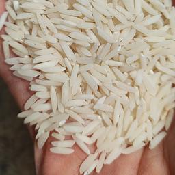 برنج هاشمی آستانه اشرفیه امساله 1401حاصل تازه (10 کیلویی) بدون واسطه مستقیم از کشاورز 