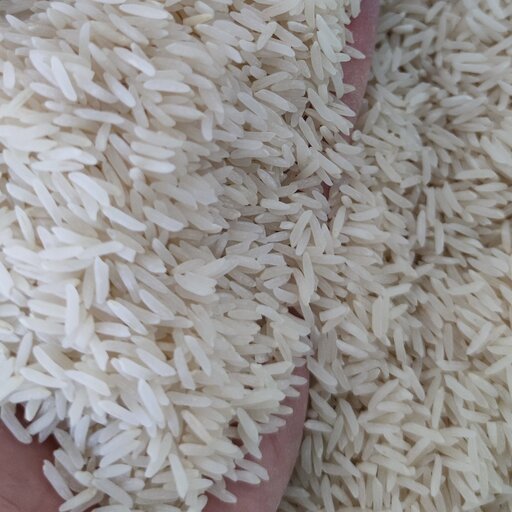 برنج فجر گرگان نیمه دودی 10کیلویی