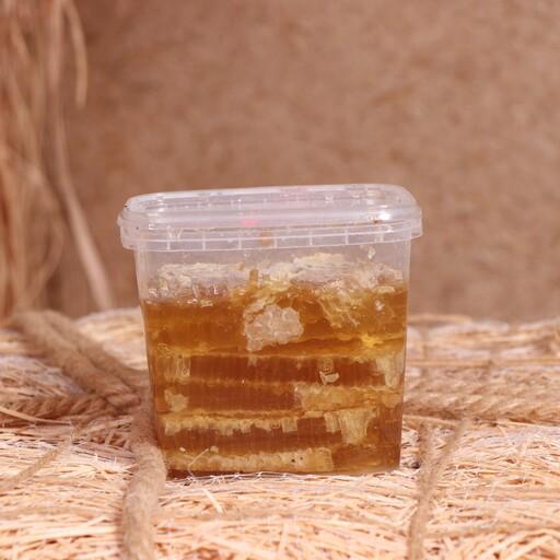 عسل طبیعی  خالص چند گیاه با موم ( نیم کیلو )