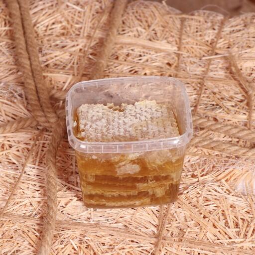 عسل طبیعی  خالص چند گیاه با موم ( نیم کیلو )