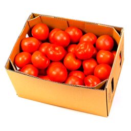 گوجه فرنگی بوته ای درهم - 14 کیلوگرم