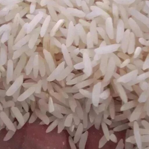 برنج طارم هاشمی درجه یک فریدون کنار صددرصد خالص و پخت و عطر تضمینی سورت شده با دستگاه سورتینگ لیزری در بسته بنددیهای 10ک