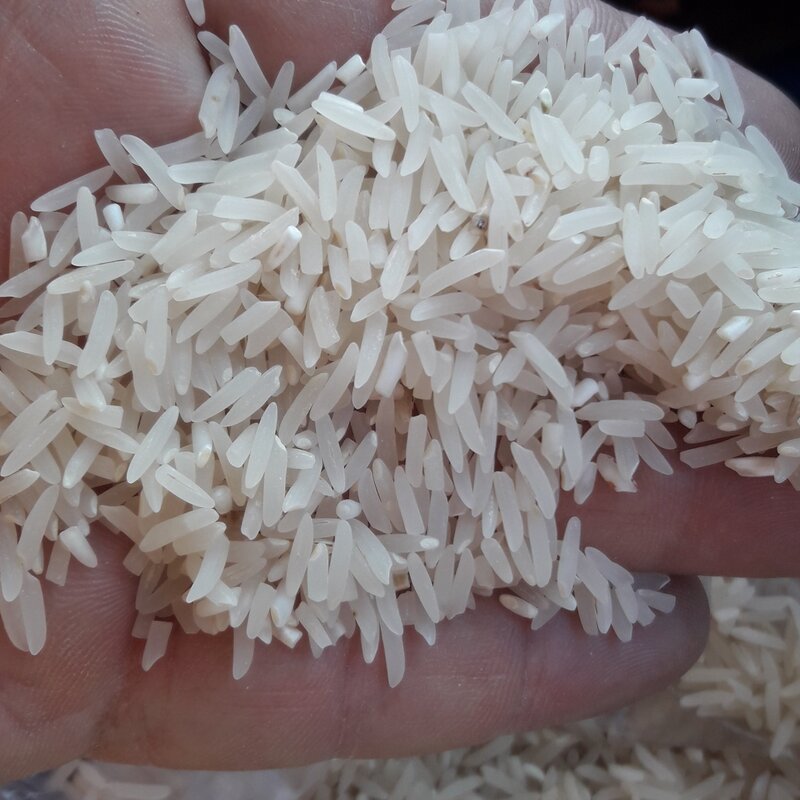 برنج فجر درجه یک نوع برنج بیشتر درگرگان و قسمتی از مازندران کشت میشه بخاطر افزایش محصول این برنج سوزنی و نوک قلابی