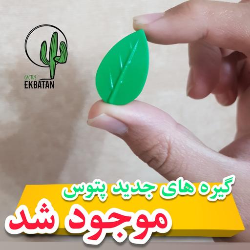 بسته 10 عددی گیره پتوس طرح برگ جهت نظم دهی به گیاهان رونده