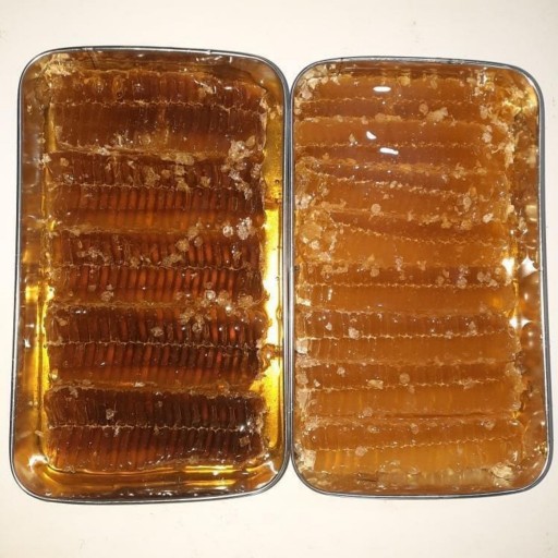 عسل ویژه سبلانه با موم تعداد محدود(وزن600گرم)
