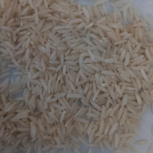 برنج طارم هاشمی  10 کیلویی  