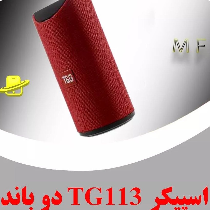 اسپیکر برند TG