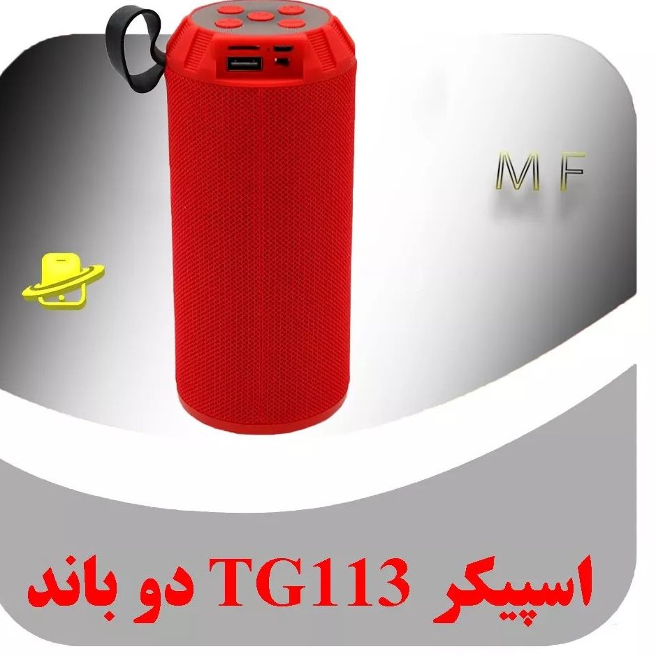 اسپیکر برند TG