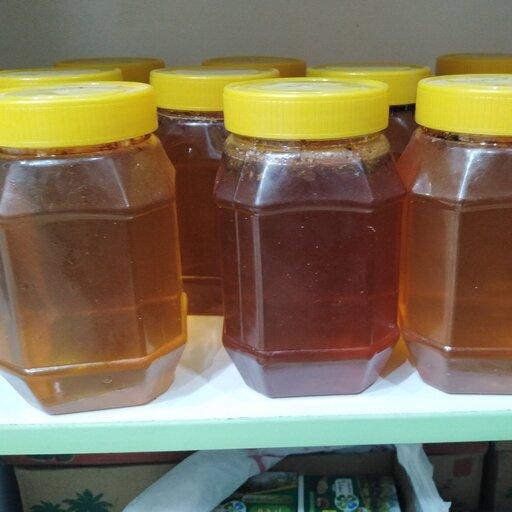 عسل کنار  درجه یک 1000 گرمی  از جنوب استان فارس  