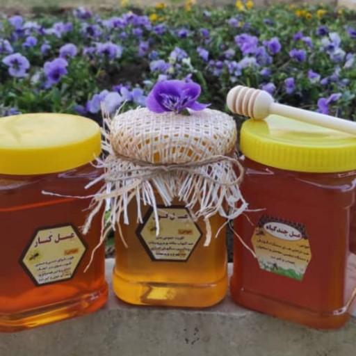 عسل کنار ‌طبیعی‌ برداشت تازه ی امسال ( یک کیلوگرم )
