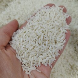 برنج  طارم هاشمی اعلا خوشطعم(5کیلو) ارسال رایگان