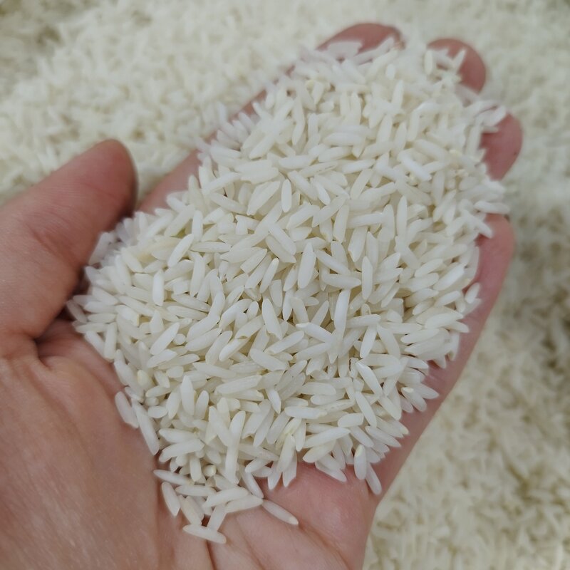 برنج طارم هاشمی اعلا و خوشطعم(10کیلو) ارسال رایگان