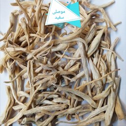 موصلی ثعلب مصری اصلی 100 گرمی بدون خاکه 