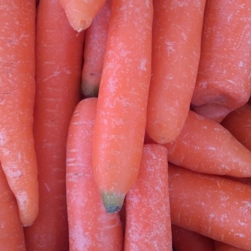 هویج(یک کیلو)
