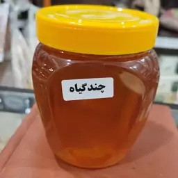 عسل طبیعی چند گیاه یک کیلویی ارگانیک