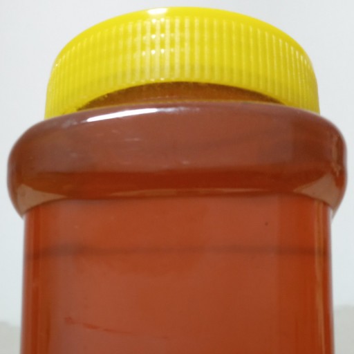 عسل طبیعی گشنیز(ساکارز 3٪)