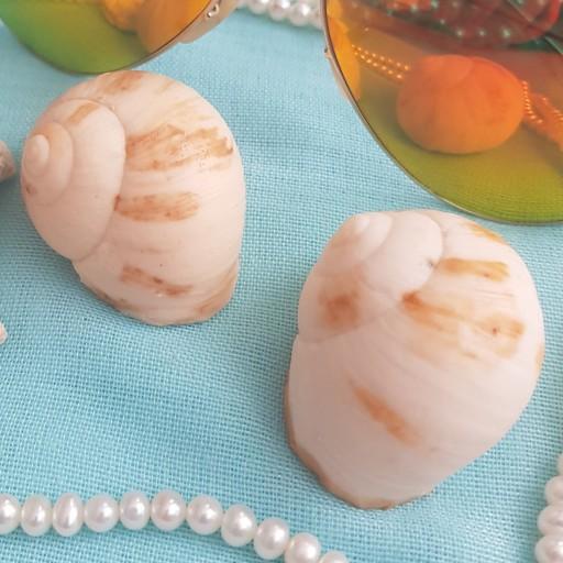 صابون تزئینی معطر دستساز حلزون دریایی