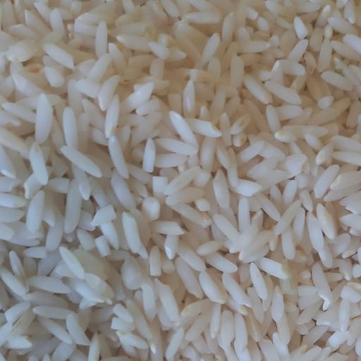 برنج هاشمی بروجرد دشت سیلاخور