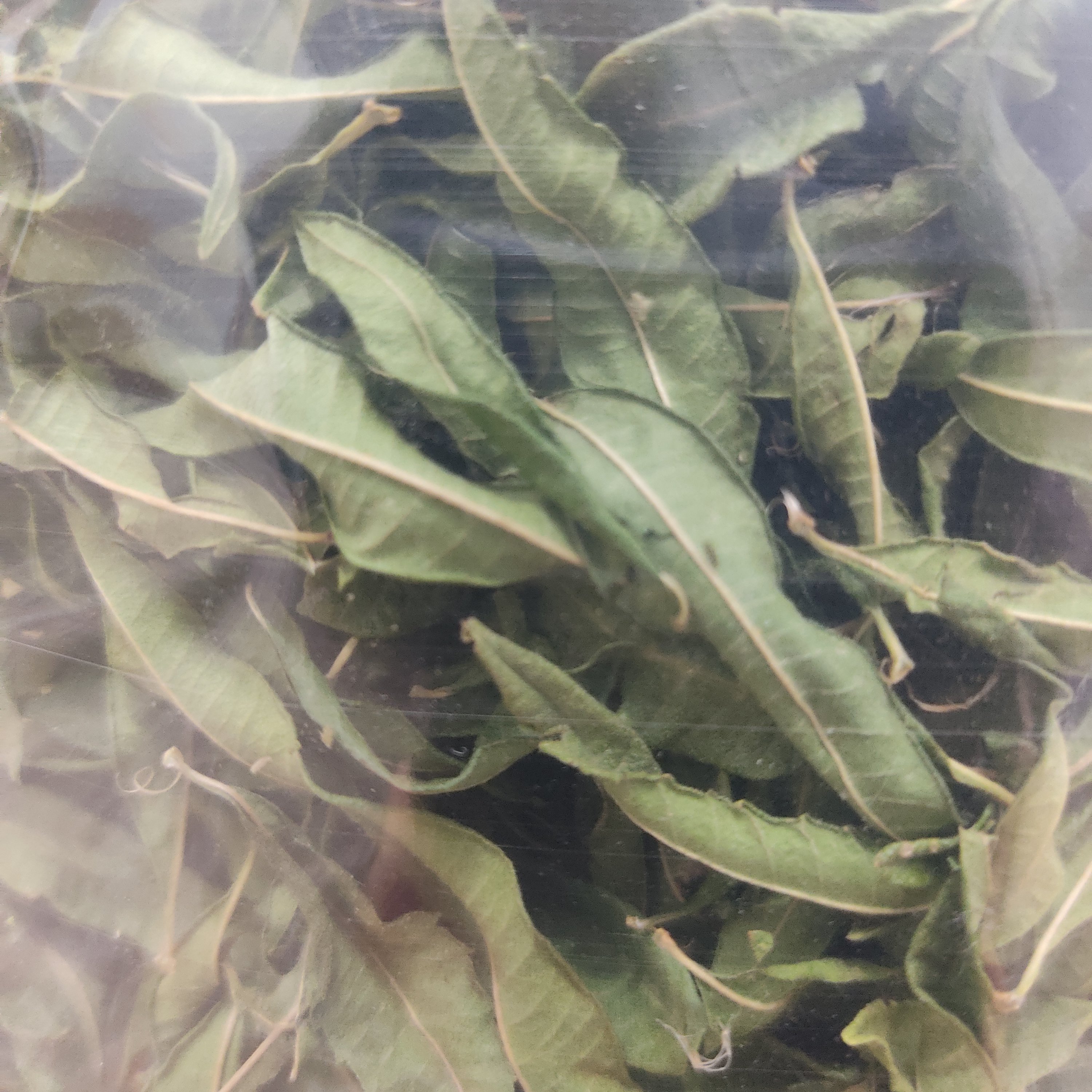 دمنوش به لیمو 40 گرمی