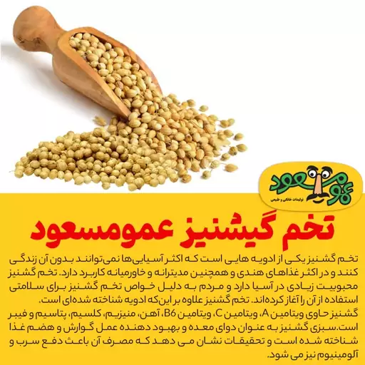 تخم گیشنیز  درجه یک عمومسعود بسته 100 گرمی