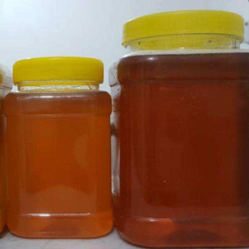 عسل طبیعی بهاره عالی به شرط تضمین کیفیت تغذیه شده از گلهای مرکبات،ساکارز زیر3 