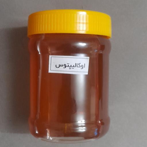 عسل اوکالیپتوس درجه یک و طبیعی محصولی از عسل ثامن نیم کیلویی 