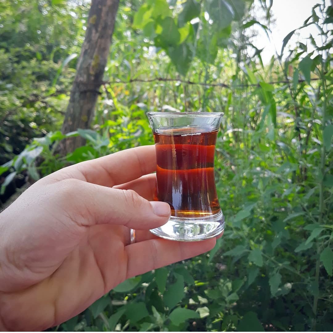 چای قلم سوزنی بدون ساقه تخفیف ویژه (5کیلویی)بهاره 1404