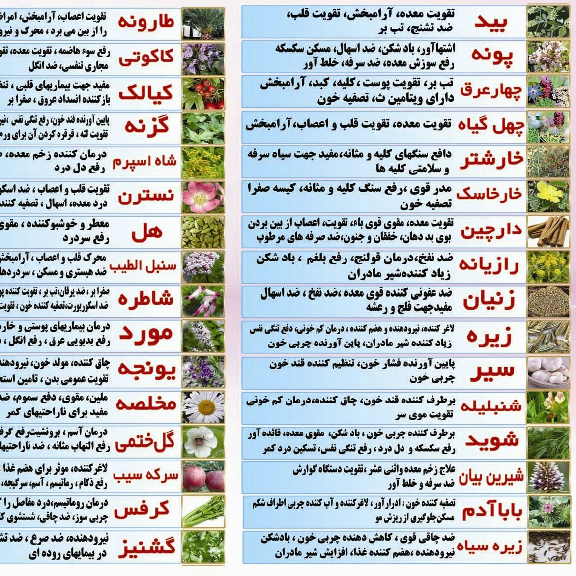 گلاب دوآتیشه ناب میمندفارس