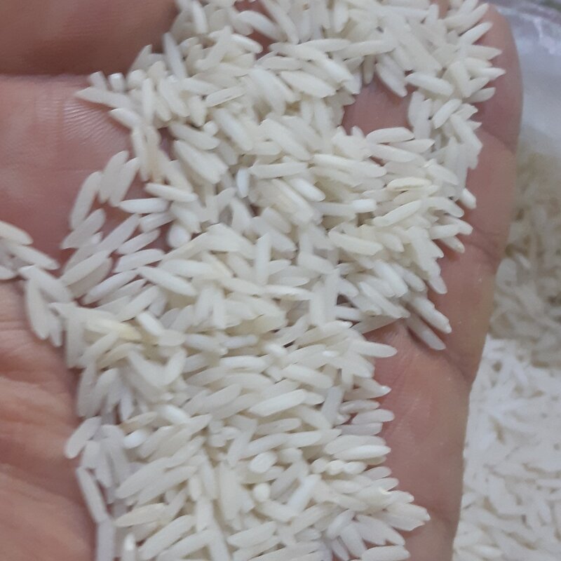 برنج طارم هاشمی درجه یک گیلان 