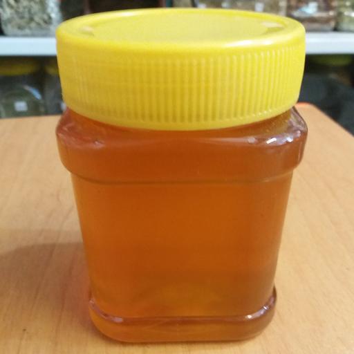 عسل گون گز طبیعی( نیم کیلویی) محصولی از خمین