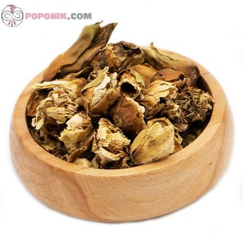 گل نیلوفر 50 گرمی

