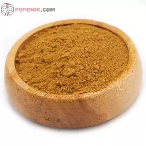 پودر عصاره ریشه شیرین بیان 100 گرمی