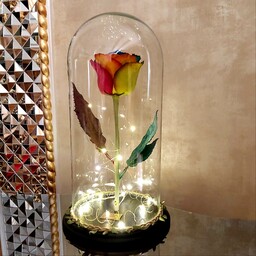 گل رز جاودان هفت رنگ با ساقه اصل گل رز مدل دیو و دلبر با باکس و ریسه ال ای دی آفتابی (عالیجناب)