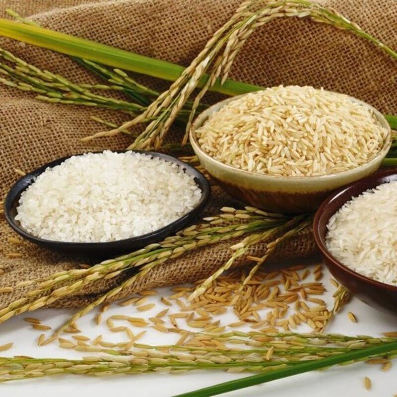 برنج ایرانی طارم محلی فریدونکنار   (بسته 5 کیلویی)