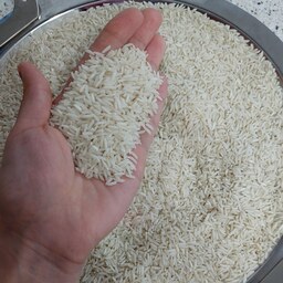 فروش انواع برنج درجه 1 کشت گیلان مستقیم از کارخانه