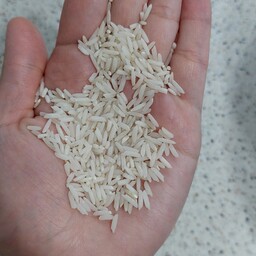 برنج طارم هاشمی(20کیلویی)سورت شده 