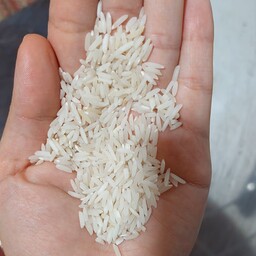 برنج هاشمی درجه یک امساله (5کیلویی )