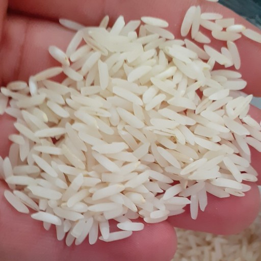 برنج طارم هاشمی درجه یک مازندران