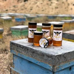 عسل چهل گیاه سنتی با خواص درمانی و طعم عالی (500گرمی)