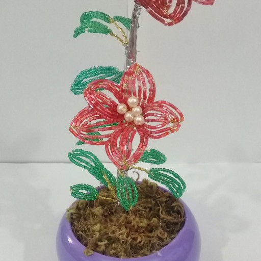گل منجوقی با گلدان سفالی