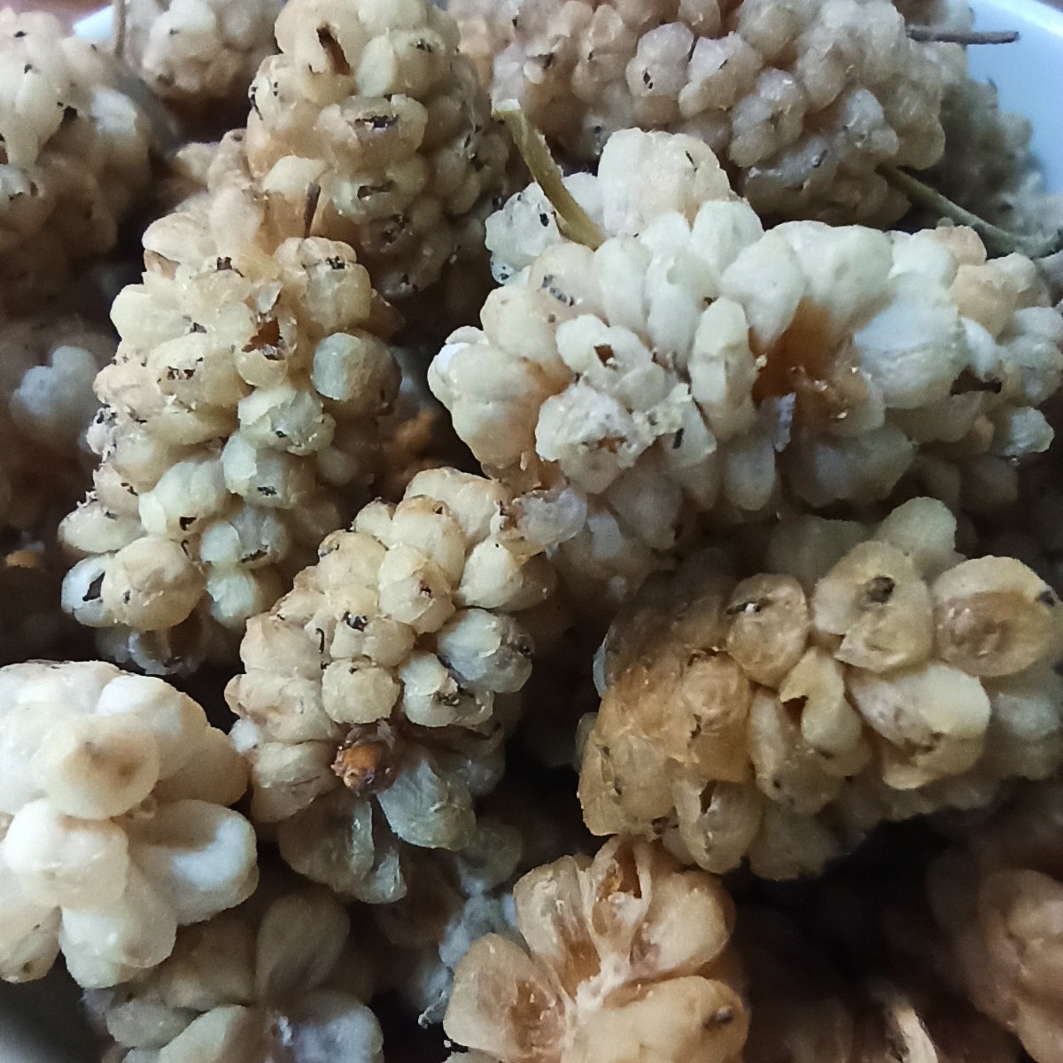 توضیحات تصویر