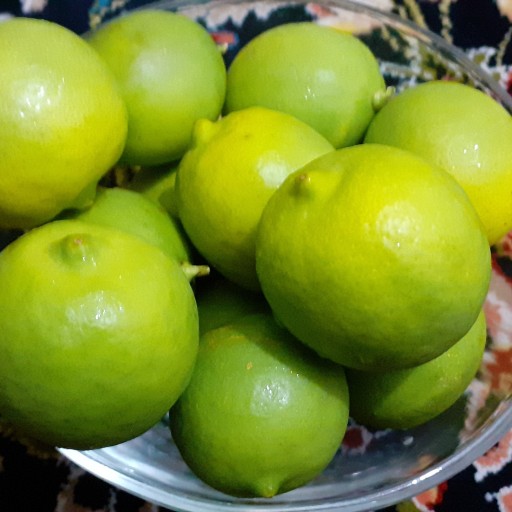 لیمو محلی بجگان