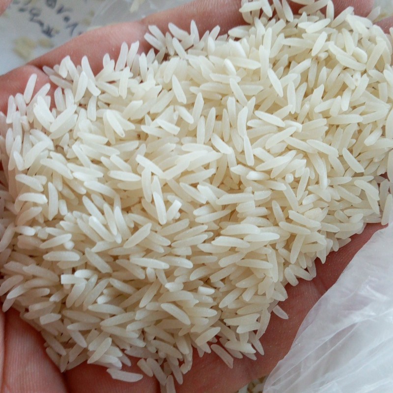 برنج طارم هاشمی دستچین گیلان 5 کیلو
