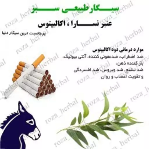 سیگار عنبر نسارا اکالیپتوس (بسته 10عددی)