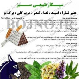 سیگار 6گیاه (بسته 10عددی)