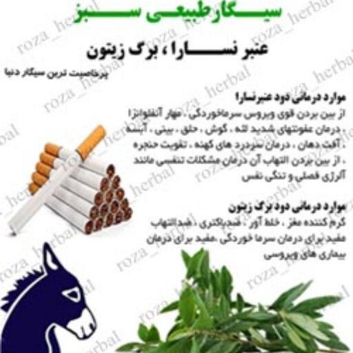 سیگار عنبر نسارا  برگ زیتون (بسته 10عددی)