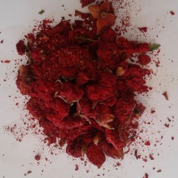 گلنار فارسی  سید یحیی در بسته های 100 گرمی