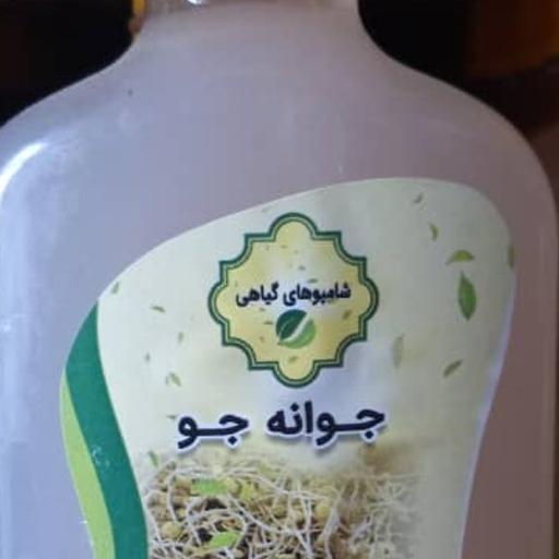 شامپو جوانه جو