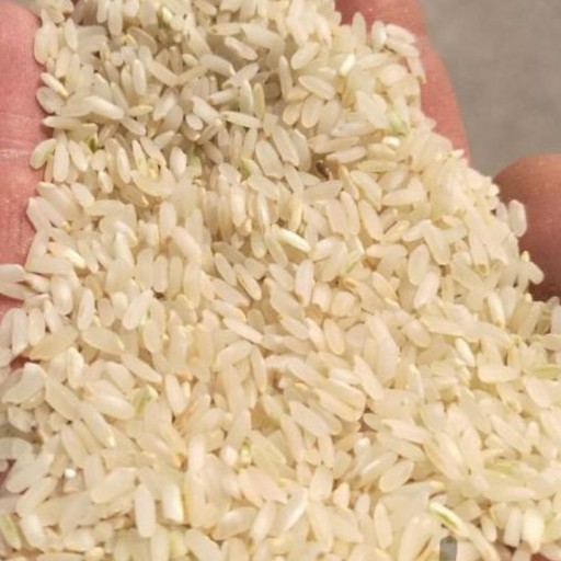 برنج کامفیروزی
