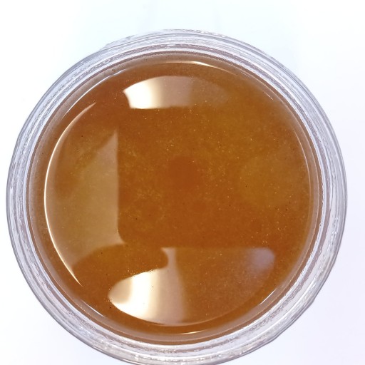 عسل طبیعی گون کتیرا (زرد) مستقیم از تولیدکننده (یک کیلوگرمی)